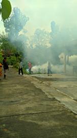 FOGGING DARI PUSKESMAS PLAYEN